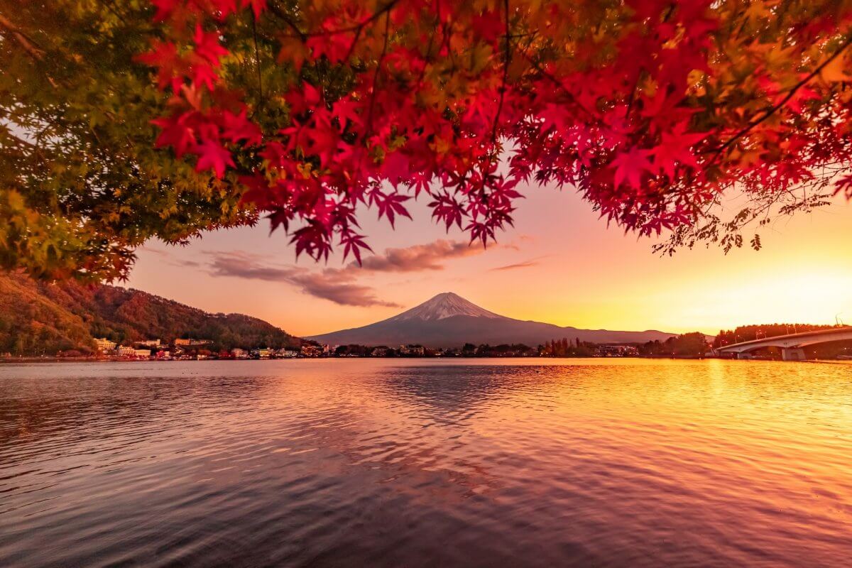【2021年】紅葉シーズン到来！富士五湖周辺のおすすめ紅葉スポット５選