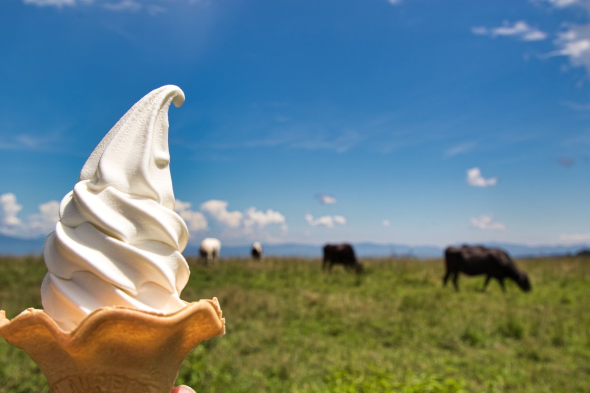 山梨の牧場で食べられるソフトクリームのご紹介