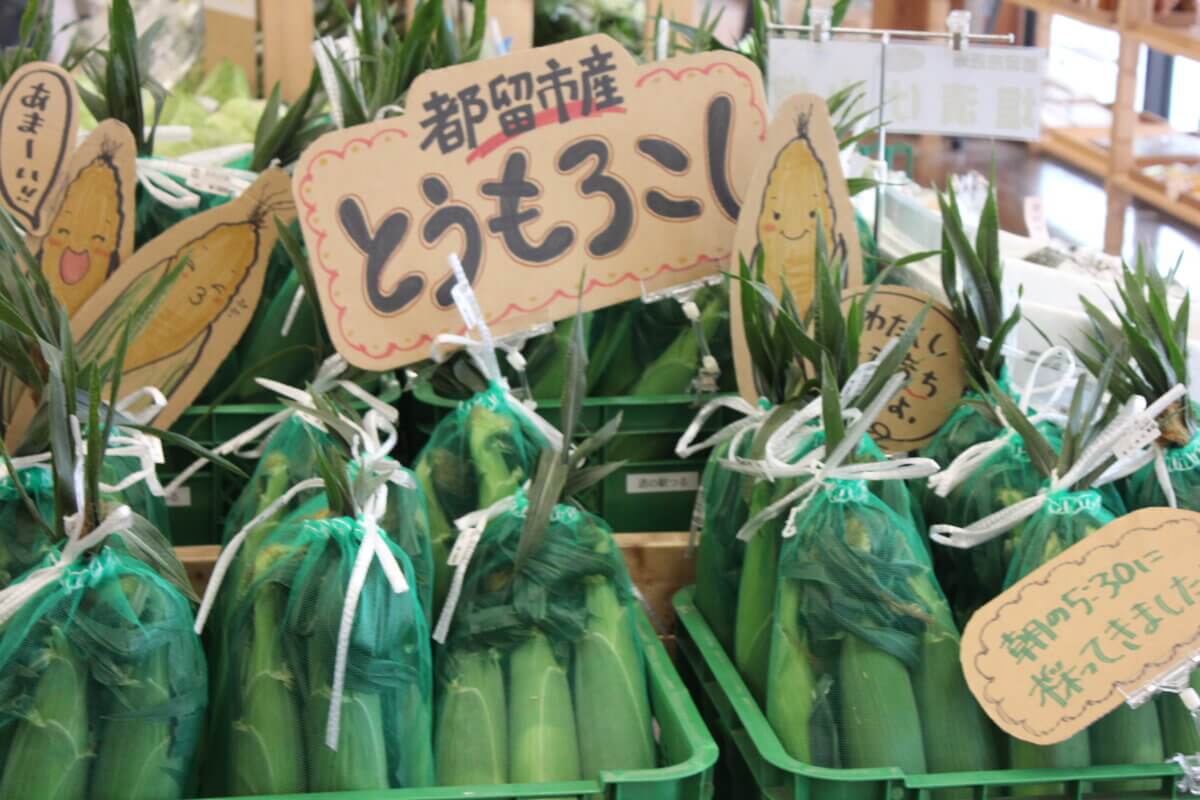とうもろこしが入荷いたしました！！