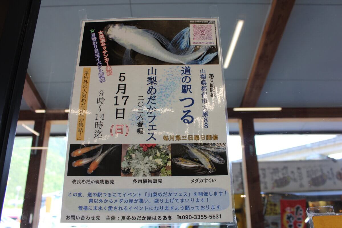 毎月第３日曜恒例！５月１７日（日）は「めだかフェス」開催！
