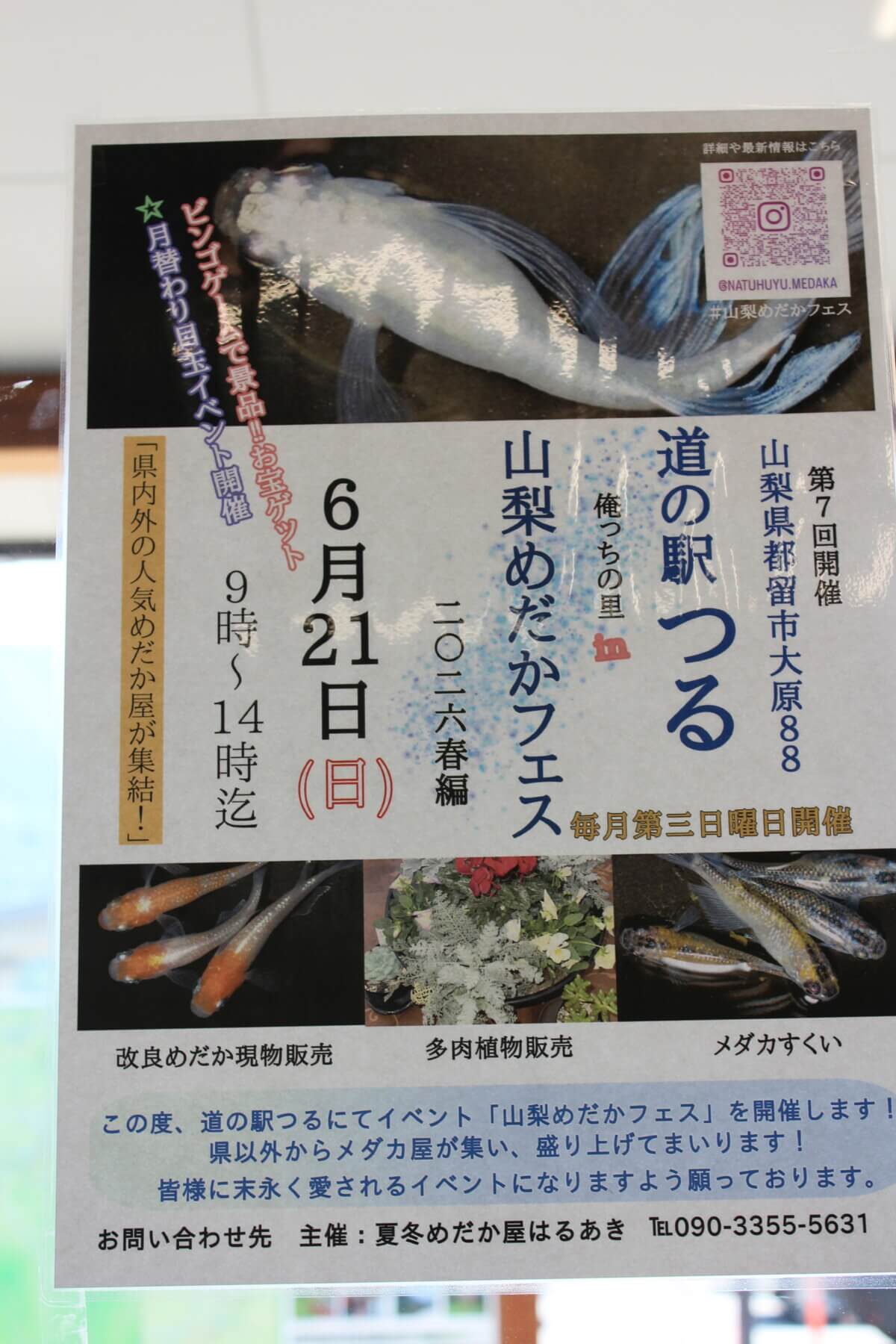 毎月第３日曜恒例！6月21日（日）は「めだかフェス」開催！