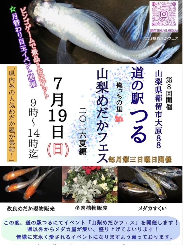令和8年7月19日(日)めだかフェス開催いたします。